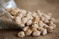 12mm White Chickpeas (Kabuli Chana) – product photo 5, product detail gallery