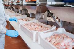 Whole Frozen Halal Chicken - Image 5