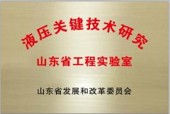 Shandong Engineering Lab certificate from Shandong Taifeng Intelligent Control Co., Ltd.
