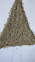 fennel Seeds – product photo 1, product detail gallery