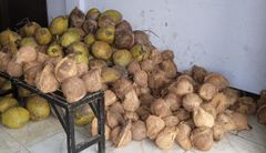 Semi Husked Coconut – product photo 1, product detail gallery