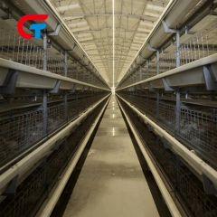 H-Type Chicken Cage 4-8 Tiers Auto Feeding Egg Collecting 1Y Warranty Hot Galvanized Steel - Image 2