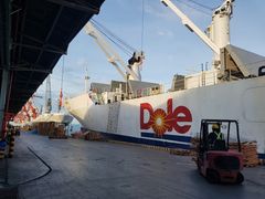 100% sweet Fresh Sourced from Philippines Pineapple and Thailand Pineapple Juice - NFC in Drum/Metal Bin beverages drink - Image 6