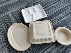 Compostable Biodegradable Disposable Sugarcane Bagasse Paper Plates Tableware - Image 3