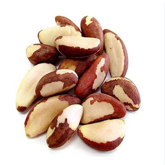 Selected Brazil Nuts Whole Natural Kernels Smooth Crunchy Texture Ideal For Baking Cooking And Retail Food Supply Buy Today Fast Delivery Premium Quality Wholesale – product photo 2, product detail gallery