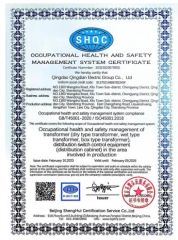 ISO45001 certificate from Qingdao Qingdian Electric Group Co., Ltd.