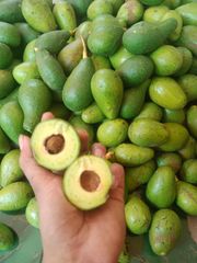 Fresh Avocado – product photo 1, product detail gallery
