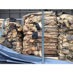 Best Quality Wet Salted Cow Hides and Cow Head Skin - Image 2