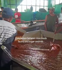 Muscovado Sugar Sediment Free – product photo 1, product detail gallery