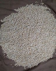 Chickpeas Count 50-52 Non Sortex (weevils 0.15) – product photo 1, product detail gallery