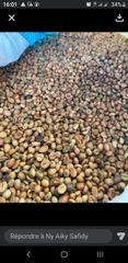 Coffee Beans - Image 1