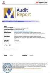 BV Audit Report certificate from Foshan Chun Wa Technology Co., Ltd
