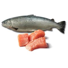 Best quality Frozen Salmon Fish. - Image 4