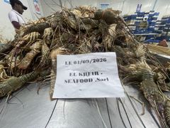 Frozen Lobster Whole - Image 1