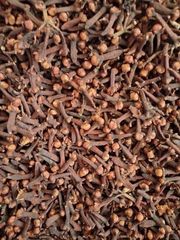 Cloves (AB06) – product photo 1, product detail gallery