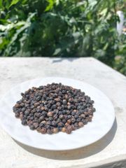 Black Pepper (Piper Nigrum) - Image 4