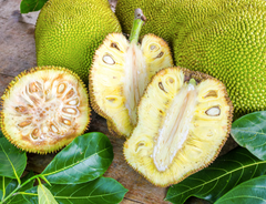 Jack fruit - Image 1