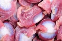 Frozen Halal Chicken Gizzards – Cleaned, Bulk Packed, Grade A, Halal Certified - Image 4