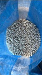 white kidney beans  – product photo 2, product detail gallery