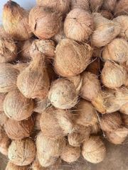 Fresh Coconuts