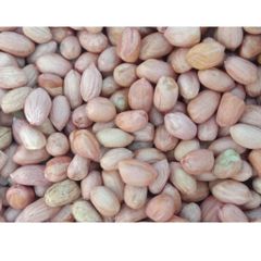 KACANG TANAH KERNELS GROUND NUT PEANUT FRESH ORGANIC PEANUT BUTTER PEANUT OFFER CHEAP PRICE - Image 3