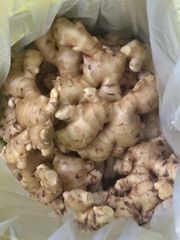 Fresh Raw Ginger (Thailand Origin) – product photo 2, product detail gallery