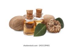 Nutmeg Oil - Image 1