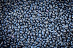 QUALITY BLACK/RED KIDNEY BEANS READY FOR EXPORT. WHATSAP +255787979235 - Image 6