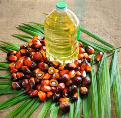 Refined Palm Oil - Image 3