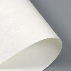 Eco Solvent Printable Embossed Vinyl Wallpaper - Image 6