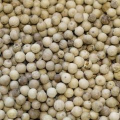 Premium Bangka Muntok White Pepper from Indonesia – Shell Sorted | Bulk Export Supply - Image 3