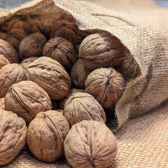 Bulk Premium Walnuts Fresh Natural Snack Wholesale Healthy Supply Ideal for Retailers Wholesalers and Export – product photo 4, product detail gallery