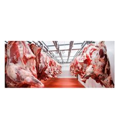 Best Selling HALAL FRESH FROZEN BEEF CONICAL MUSCLE BULK VACUUM PACKED EXPORT READY - Image 4