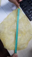 VIETNAM RAW DRIED FISH MAW from PANGASIUS FISH nature AD Food Grade 100% Dried and Natural Fish Maw, No Chemical Bulk packaging - Image 2