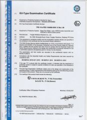 ATEX certificate for mass meter certificate from Wenzhou Huiyang Energy Technology Co., Ltd