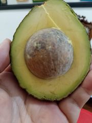 Hass Avocado – product photo 1, product detail gallery