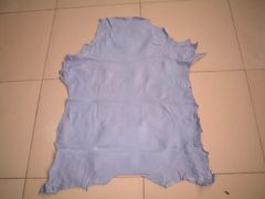 Raw And Wet Blue Goat And Sheep Leather Skin Condition Wet Blue Skin Source Goat And - Image 1