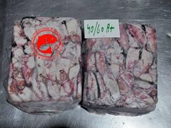 Loligo Squid - Image 2