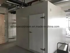 Cold Storage Room for Milk and Fish - Image 2
