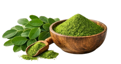 Moringa Powder - Image 1