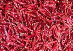 red chilli - Image 1
