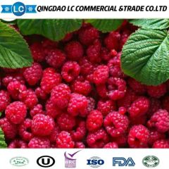 Frozen Raspberries Raspberry Frozen Wholesale China Delicious Frozen Fruit Prices Raspberries - Image 4