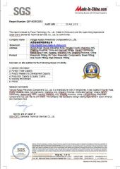SGS Report certificate from Zhejiang Ruituo Automation Co., Ltd.