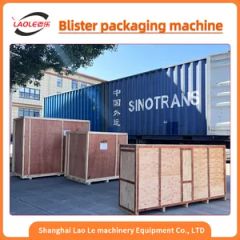 DDP-120 Flat-Plat Eautomatic Tablet Capsule Medicine Pharmaceuticals Blister Packing Machine - Image 4