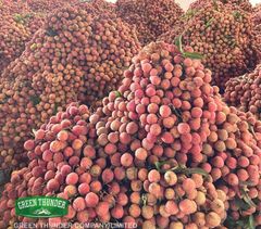 Canned Lychee in light syrup  Place of Origin - Image 2