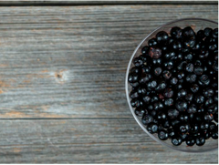 Frozen Wild Blueberry - Image 4