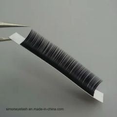 Korea Individual Lashes Different Curl Thickness Strip Lashes - Image 5
