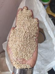 White sesame Seeds -sesame seeds - Image 1
