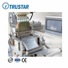 Pharmaceutical Packaging Machine Strip Blister Packing Machine - Image 4