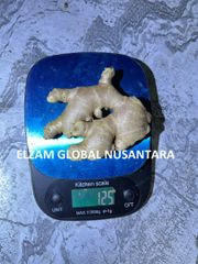 Indonesian Fresh Elephant Ginger / Cleaned High Quality Natural Spices for Wholesale Export - Image 2